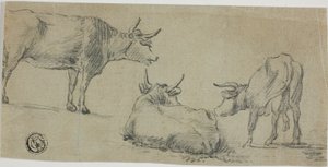 Három vázlat tehenekről alkotó: Aelbert Cuyp