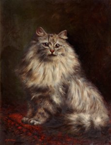 Perzsa macska, 1908-20 körül alkotó: Agnes Augusta Talboys
