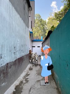 Queen, 2023 (digitális művészet a fényképen)
