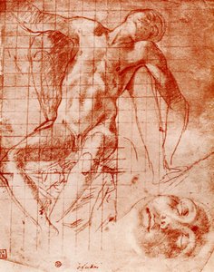 Tanulmányok, 1913. alkotó: Agnolo Bronzino