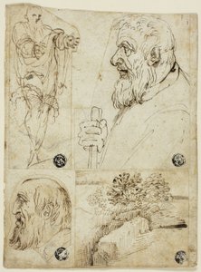 Négy vázlat: Szakállas férfi mellképe; Szakállas férfi fejének profilja; Tájkép. alkotó: Agostino Carracci