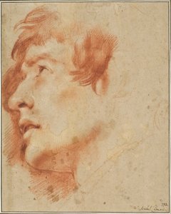 alkotó: Agostino Carracci