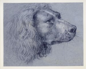  alkotó: Agostino Carracci