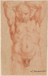 Férfi akt alkotó: Agostino Carracci
