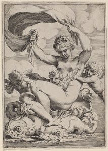 Vénusz vagy Galatea delfinek által támogatott alkotó: Agostino Carracci