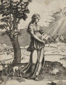 The Cumaean Sybil, 1516 (metszet fektetett papírra)