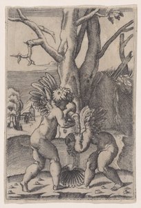 Két Cupido, kb. 1519. alkotó: Agostino Veneziano