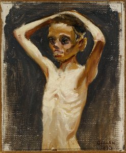 A Jaskala-tanyáról származó lány alkotó: Akseli Gallen-Kallela