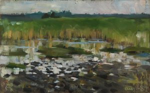 A nádasok alkotó: Akseli Gallen-Kallela
