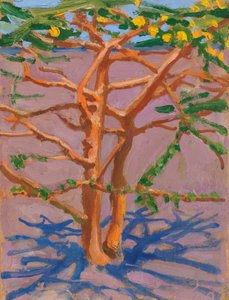  alkotó: Akseli Valdemar Gallen-Kallela