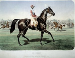 Verseny: „” Suzerain, a Chantilly derbi győztese 1868-ban”” Albert Adam (1833-?) Magángyűjtemény litográfiája