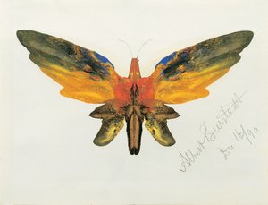 Pillangó, 1890 alkotó: Albert Bierstadt