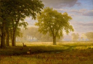 Elk in Oak Grove (Tuolumne Meadows) alkotó: Albert Bierstadt