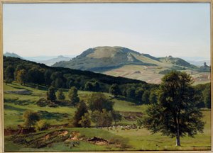 Táj - Hill és Dale alkotó: Albert Bierstadt