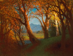 Naplemente a Nebraska Területen alkotó: Albert Bierstadt