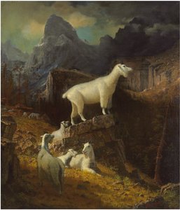 Ismeretlen kép alkotó: Albert Bierstadt