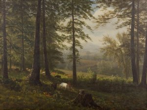 Kilátás egy tisztásra alkotó: Albert Bierstadt