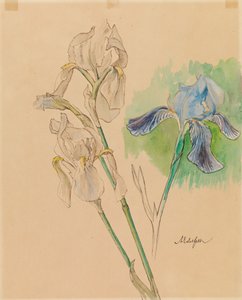 Íriszek alkotó: Albert Edelfelt