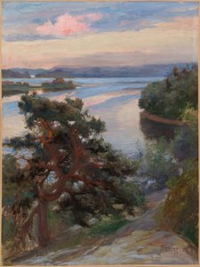 Tájkép Haikkóból alkotó: Albert Edelfelt
