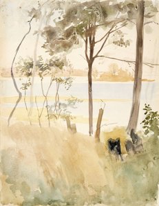 Tengerpart Haikkónál ősszel alkotó: Albert Edelfelt
