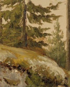 Cím nélkül alkotó: Albert Edelfelt