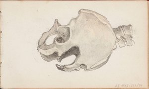 Cím nélkül alkotó: Albert Edelfelt
