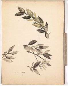 Cím nélkül alkotó: Albert Edelfelt