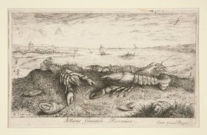 Astacus fluriatilis. L alkotó: Albert Flamen