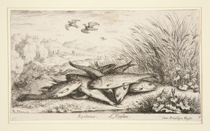 Epelanus, L alkotó: Albert Flamen