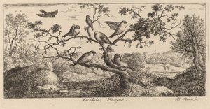 Ficedula, A süvöltő alkotó: Albert Flamen