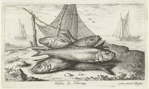 Csapok a halászhálóban Halec, LeHarang. (cím a tételen) Halak és más tengeri élőlények – sósvízi második sorozat (sorozat címe) Poissons de mer (sorozat címe)
