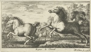 Lovak Equus le Cheval (cím a tárgyon) Különböző állatfajok (sorozat címe) alkotó: Albert Flamen