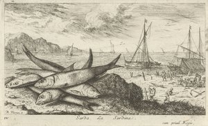 Szardínia a tengerparton Sarda, La Sardine. (cím a tárgyon) Halak és más tengeri élőlények – sósvízi első sorozat (sorozat címe) Diverse Especes de Poissons de mer (sorozat címe) alkotó: Albert Flamen