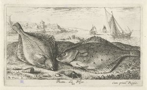 Két lepényhal a tengerparton Psetta. La Plye. (cím a tételen) Halak és más tengeri élőlények – sósvízi második sorozat (sorozat címe) Poissons de mer (sorozat címe) alkotó: Albert Flamen
