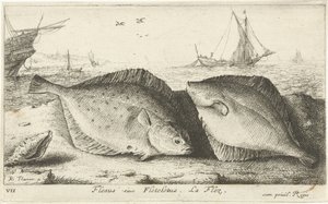 Két lepényhal a tengerparton Flesus siue Fleteletus. La flez. (cím a tárgyon) Halak és más tengeri élőlények – sósvízi első sorozat (sorozat címe) Diverse Especes de Poissons de mer (sorozat címe) alkotó: Albert Flamen