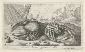 Két pókrák halászháló közelében Araneus Marinus Aragnée de Mer (cím a tárgyon) Halak és más tengeri élőlények – sósvízi második sorozat (sorozat címe) Poissons de mer (sorozat címe) alkotó: Albert Flamen