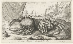 Két pókrák halászháló közelében Araneus Marinus Aragnée de Mer (cím a tárgyon) Halak és más tengeri élőlények – sósvízi második sorozat (sorozat címe) Poissons de mer (sorozat címe) alkotó: Albert Flamen