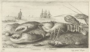 Homár a tengerparton Cammarus. LeHomard (cím az objektumon) Halak és más tengeri élőlények – sósvízi első sorozat (sorozat címe) Diverse Especes de Poissons de mer (sorozat címe) alkotó: Albert Flamen