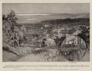 Birkatenyésztés Ausztráliában, mintaállomás Ballarat közelében