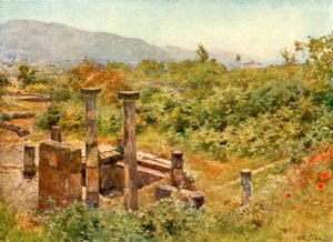 Kilátás Pompeiből alkotó: Alberto Pisa