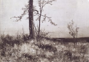 Tájkép alkotó: Albion Harris Bicknell