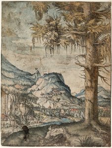 Német: A nagy lucfenyő Nagy lucfenyő alkotó: Albrecht Altdorfer
