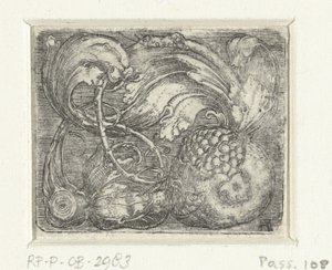 Gránátalma és levél szőlő alkotó: Albrecht Altdorfer