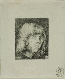Egy fiatalember feje alkotó: Albrecht Altdorfer