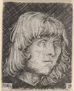 Egy fiatal férfi feje alkotó: Albrecht Altdorfer