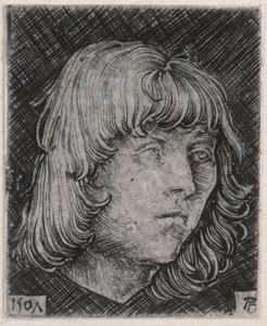 Egy fiatal férfi feje alkotó: Albrecht Altdorfer