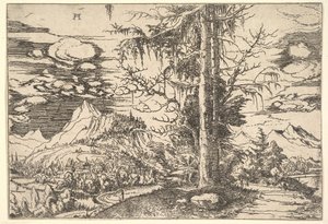Táj dupla lucfenyővel, kb. 1521-22. alkotó: Albrecht Altdorfer