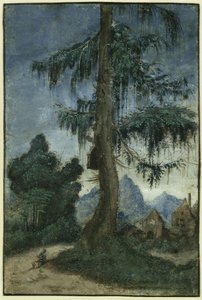 Táj lucfenyővel alkotó: Albrecht Altdorfer