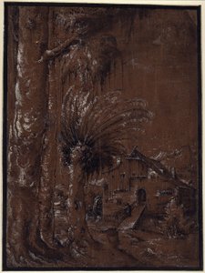 Táj vízimalommal alkotó: Albrecht Altdorfer