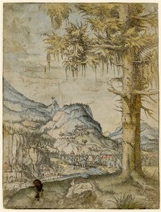 Nagy lucfenyő, kb. 1517-1520.